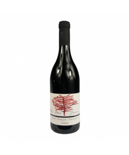 Touraine gamay bois jacou mérieau