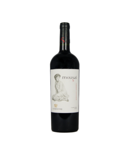 Chili - moussai la roncière