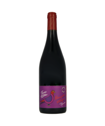 Beaujolais nouveau 2022 villages domaine de la sorbière
