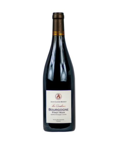 Bourgogne pinot noir les ursulines boisset