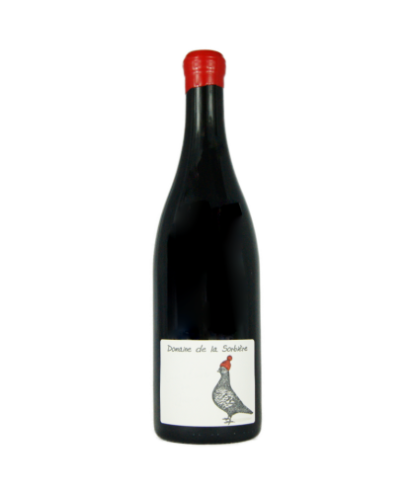 Morgon élevé en jarre domaine de la sorbière