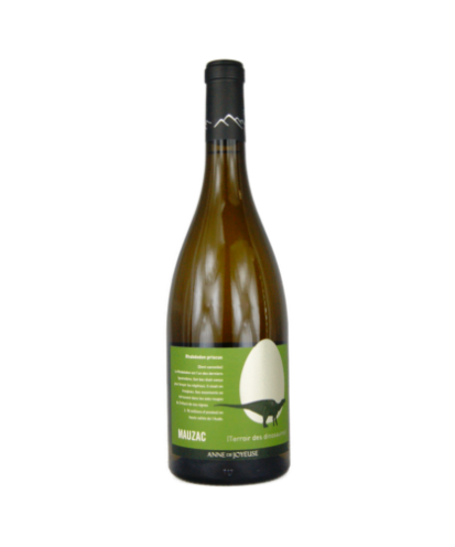Pays d'oc mauzac rhabdodon anne de joyeuse - vin blanc