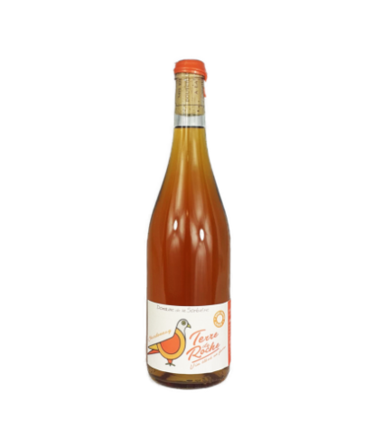 Vin de france chardonnay orange terre de roche sorbière