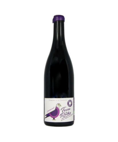Vin de france gamaret terre de roche domaine de la sorbière
