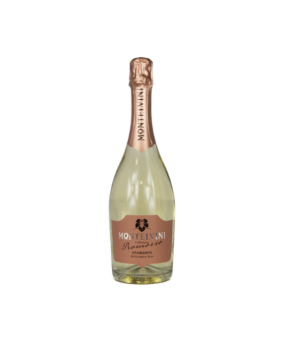 Italie - promosso spumante brut montelvini