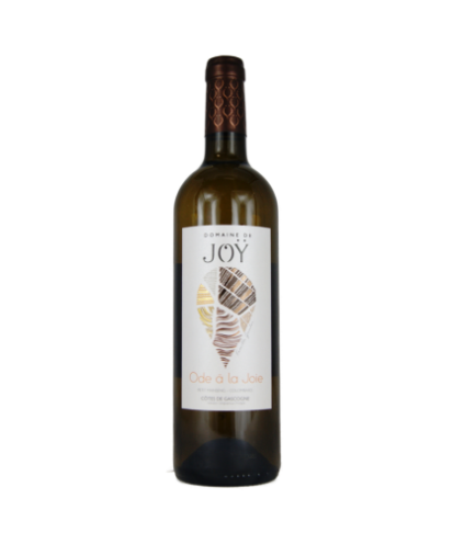 Côtes de gascogne ode à la joie demi sec joÿ