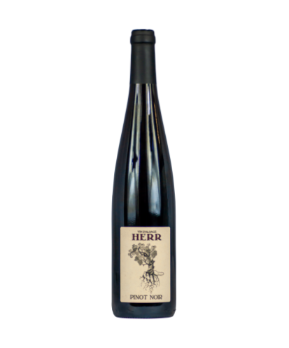 Pinot noir berg herr