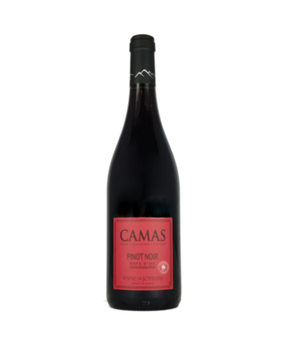 Pays d'oc pinot noir camas  anne de joyeuse