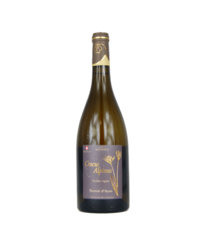 Ayze crocus alpinus montessuit