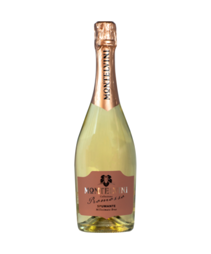 Promosso spumante brut 75cl