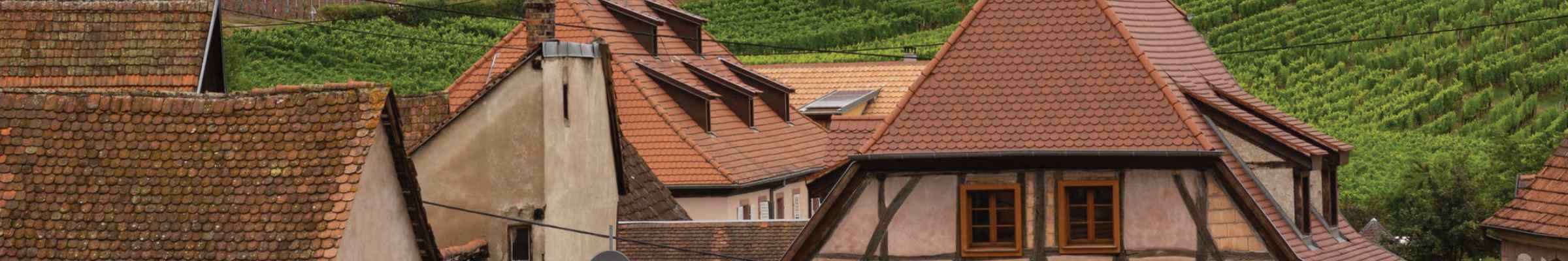 Vins d'Alsace : Riesling, Gewurztraminer, Muscat | Conroy Vins et Spiritueux