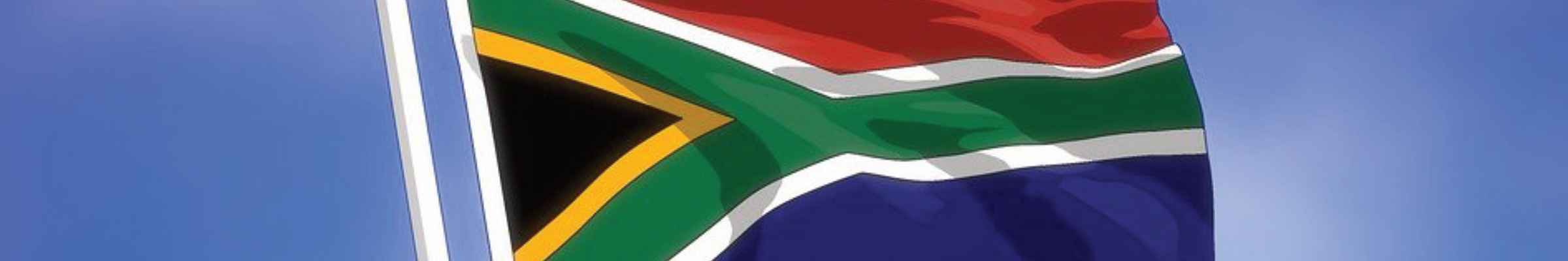 Vins d'Afrique du Sud : Retrouvez notre sélection !